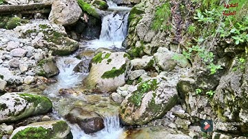 تلاوة هادئة تريح القلب💚 راحة نفسية💚 القرآن شفاء للروح والبدن💚 سبحان من وهبه هذا الصوت العذب💚