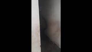 Jejak si bokir - pinjem kompor diam-diam kembaliinnya juga diam-diam