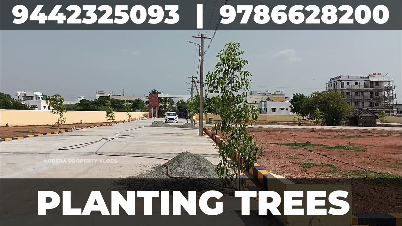 Trichy plots for sale / all amenities YouTube