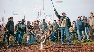 How to prune the KGB way Net Worth