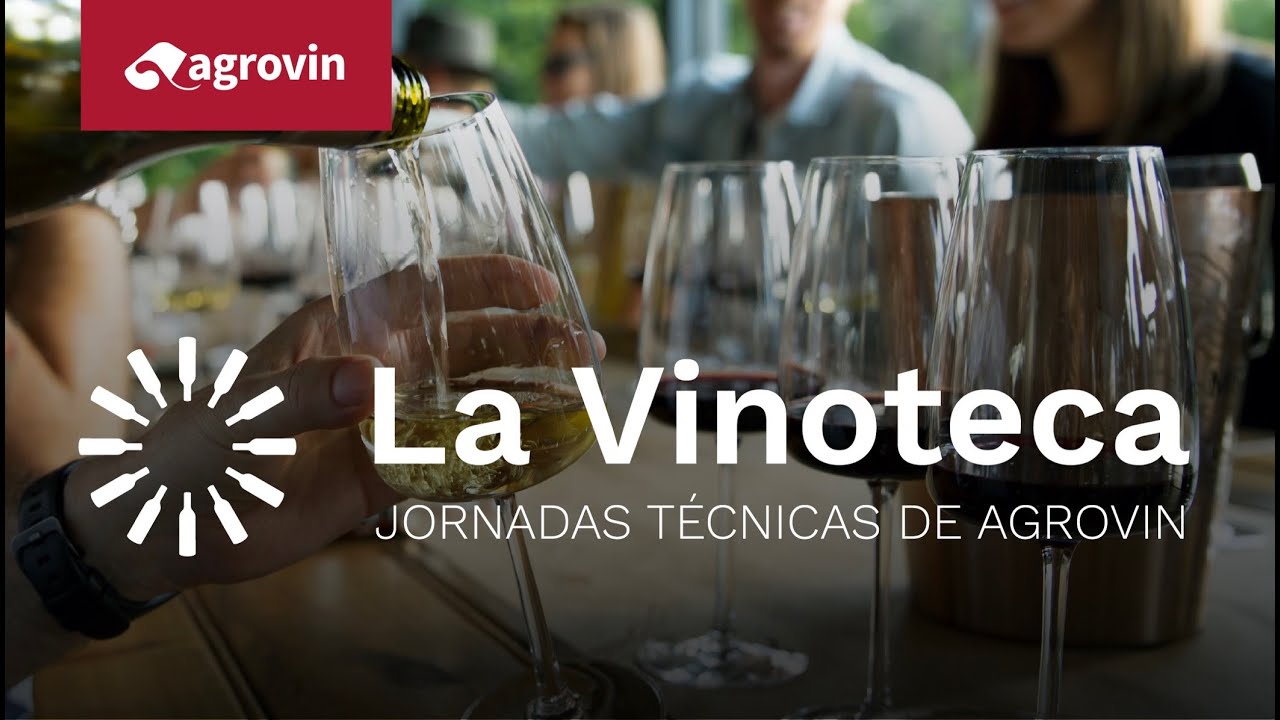 Making of - La Vinoteca de Agrovin 2022