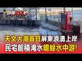 天文大潮首日「屏東浪湧上岸」！民宅前積淹水「蟾蜍水中游」估明天潮位最高【頭條600秒】