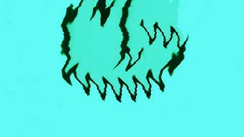 LG Logo 1995 in ZooPals Effect V5