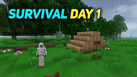 My first day in survival | mini block craft