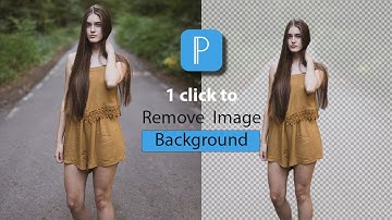 Erase background pixellab - How to Remove Background