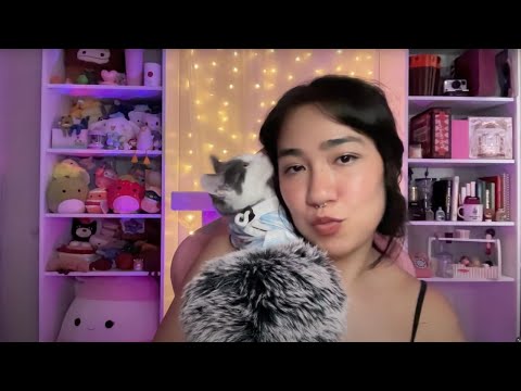 3 Horas de ASMR | Sussurros e Gatinhos