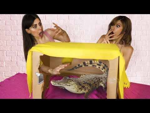 Whats in the Box Challenge with LIVE ANIMALS !!