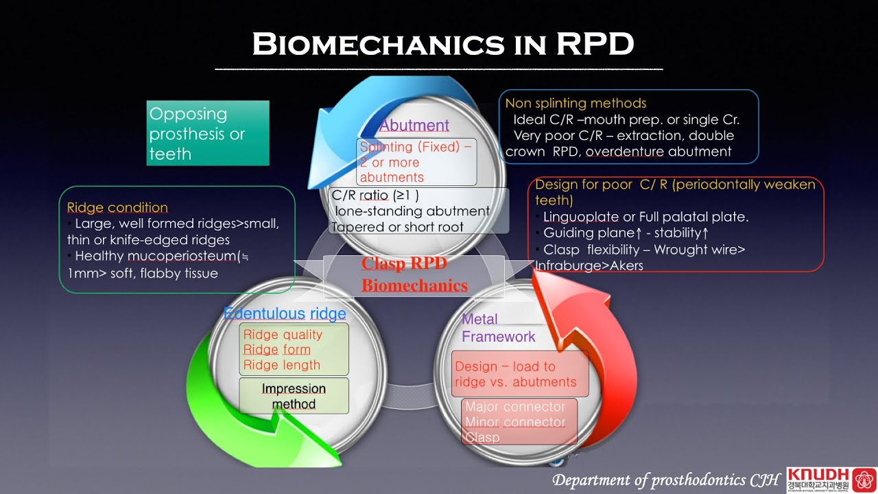 Biomechanics 2nd grade RPD - YouTube