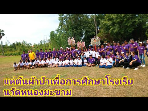 แห่ต้นผ้าป่าเพื่อการศึกษาโรงเรียนวัดหนองมะขาม
