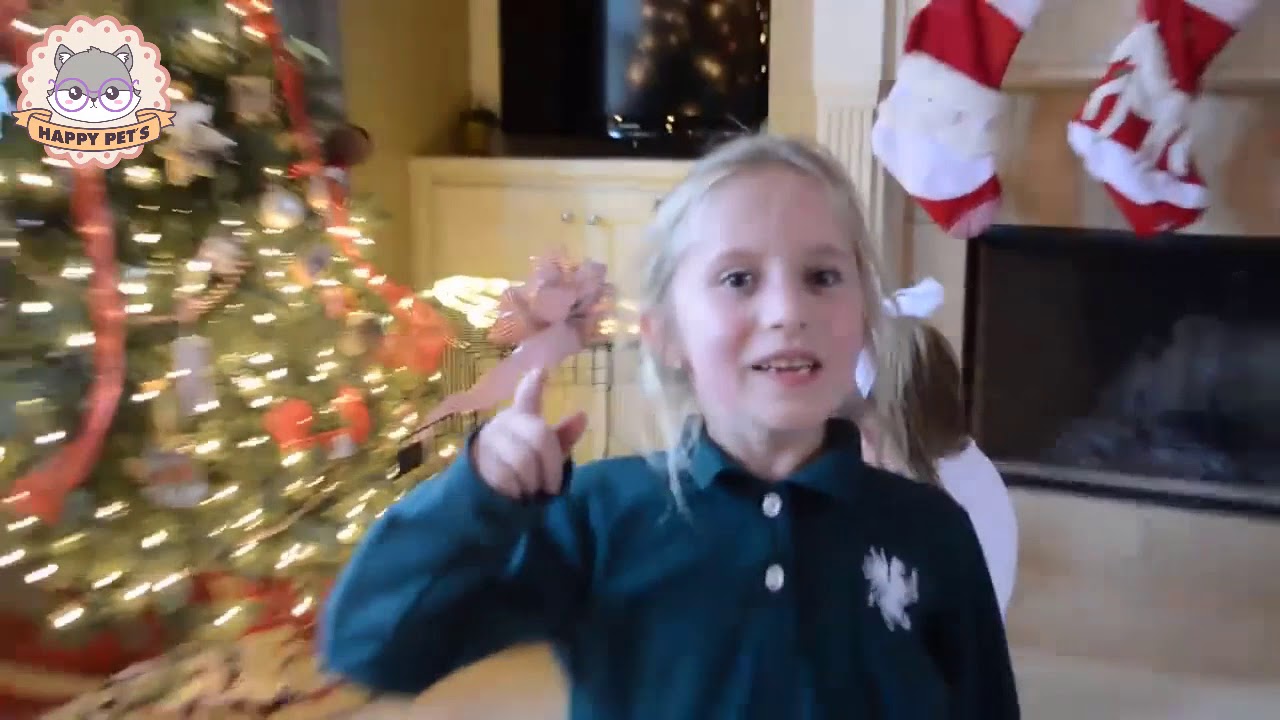 【泣けるサプライズ 】子犬猫のプレゼントに喜びの涙・超かわいいリアクション