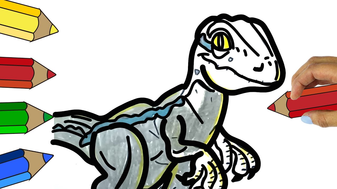 How To Draw A Velociraptor Jurassic World Dinosaurs Jurassic World Camp Cretaceous How To Draw Blue Youtube