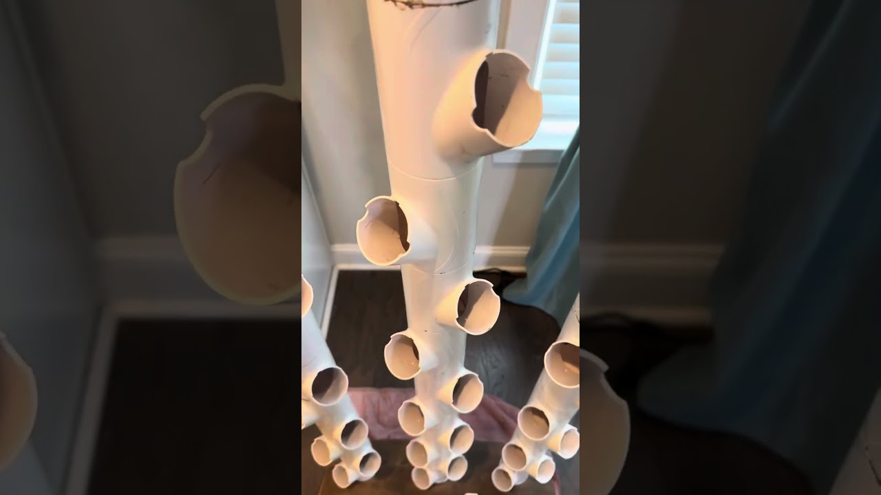 How I clean my Gardyn