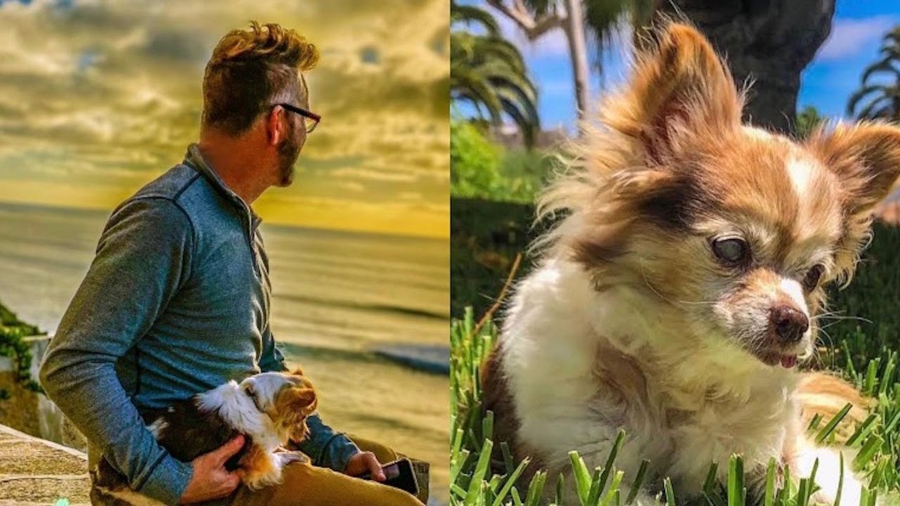 90 Day Fiancé Kenny Niedermeier Shares Heartbreaking News, Dog Truffles Passes Away YouTube