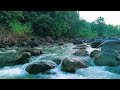 Relax Your Body Before Sleep with River Flow and Birdsong