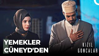 Cüneyd, Zeynep'i Yalnız Bırakmadı - Kızıl Goncalar 12.  Resimi