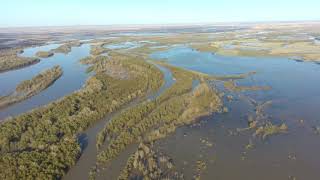 Разлив Иртыша в разные дни мая 2021 года в городе Аксу (Ермаке)