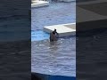 須磨シーワールドのひとコマ