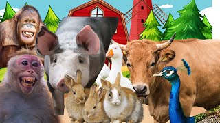 Pelajari Hewan: Kucing, Kuda, Sapi, Ayam, Bebek - Suara Hewan Ternak