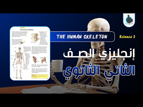 إنجليزي ثاني ثانوي الدرس الثاني القسم العلمي Science 2 THE HUMAN SKELETON 