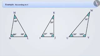 Classification of triangles | Part 2/3 | English | Class 6
