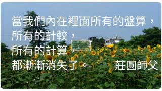 慈悲沒有敵人，智慧不起煩惱【簡介】莊圓師父◎著