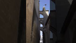 Callejón de las Monjas, Arcos de la Frontera #arcos #cadiz #andalucia #spain #turismo #pueblos #hype