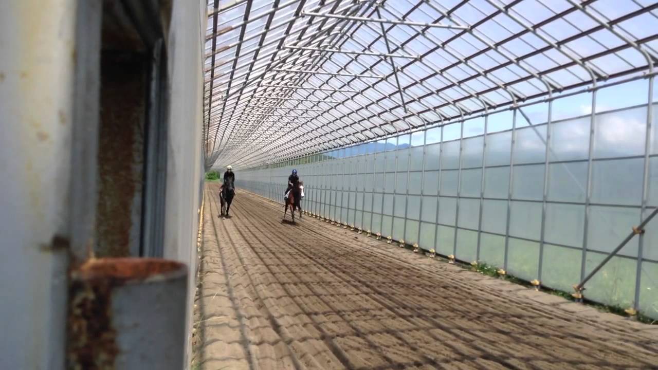 ミルファーム Ovp 調教 1 14 7 28 花田大昴騎手 井上敏樹騎手 Youtube