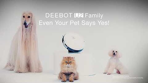 DEEBOT U2 Family Social Film 30s
