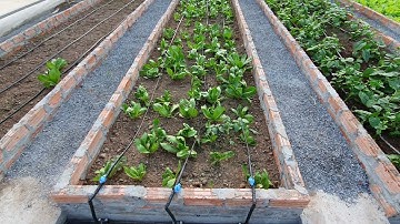 Hệ thống tưới rau nhà màng gia đình (phần 1)