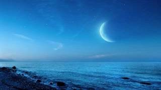 月の光　Clair de lune　レイフ・オヴェ・アンスネス