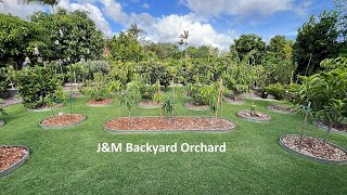 J&M Backyard Orchard Tour 18 Jan 24