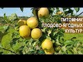 70 ГЕКТАР. ПИТОМНИК ПЛОДОВО-ЯГОДНЫХ КУЛЬТУР. Калининградская область