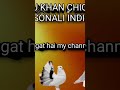 Block bhajan#pigeon