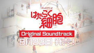 【公式】TVアニメ『はたらく細胞』Original Soundtrack発売告知CM |  8月22日発売!!