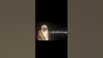 ما تيسر من سورة النبأ للقارئ الشيخ ياسر الدوسري #صل_علي_النبي #ياسر_الدوسري