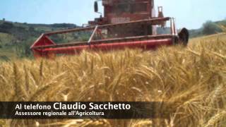 Censimento agricolo della provincia Granda