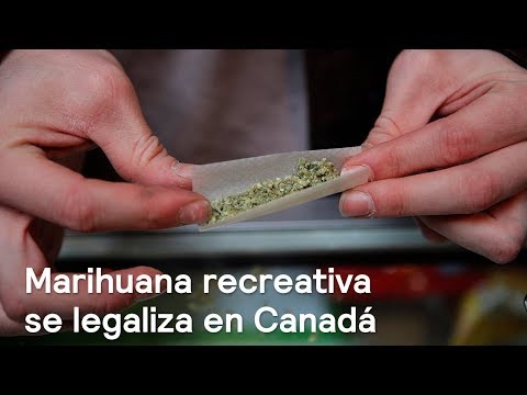 Canadá legaliza el uso recreativo de la marihuana - Foro Global