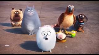 Тайная жизнь домашних животных Русский Трейлер 2016 Тайная жизнь домашних животных Русский Трейлер 2016
