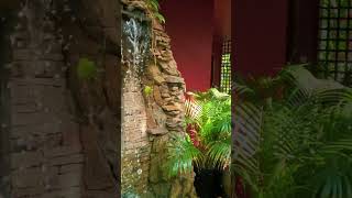Eranda Spa in Koh Samui. Thailand's Best Spa? #eranda #travel #adventure #shorts