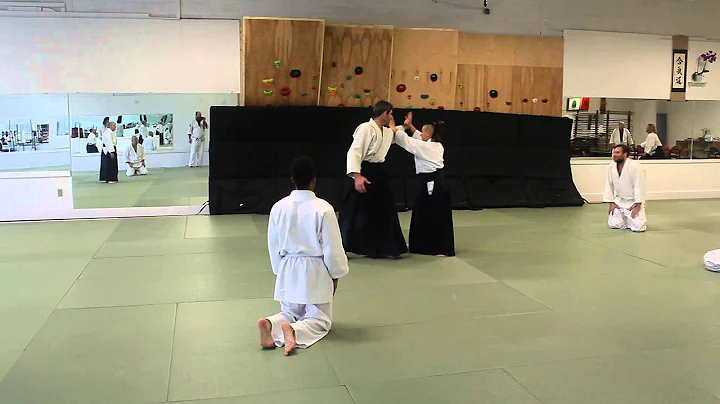 Arielle Herman Sensei, News Years Seminar CNY Aiki...