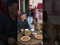 The interaction between cute pets and people. The cute pet’s debut plan. The dog has become a sp