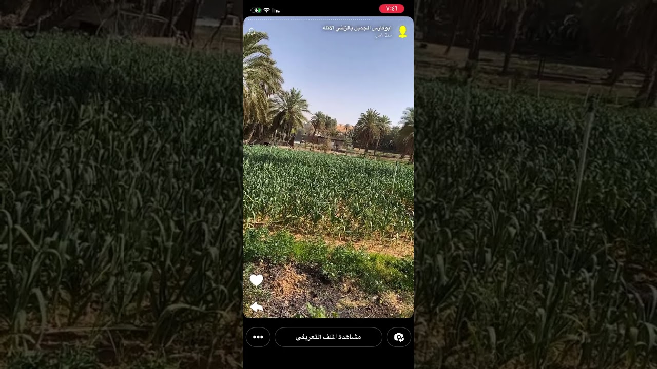 الأبن يكشف رصيد والده البخيل