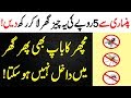 Machhar Door Bhagane Ke Gharelu Totkay || Ab Machhar Gar Main Dakhl Nehin Hoga || mosquito killer