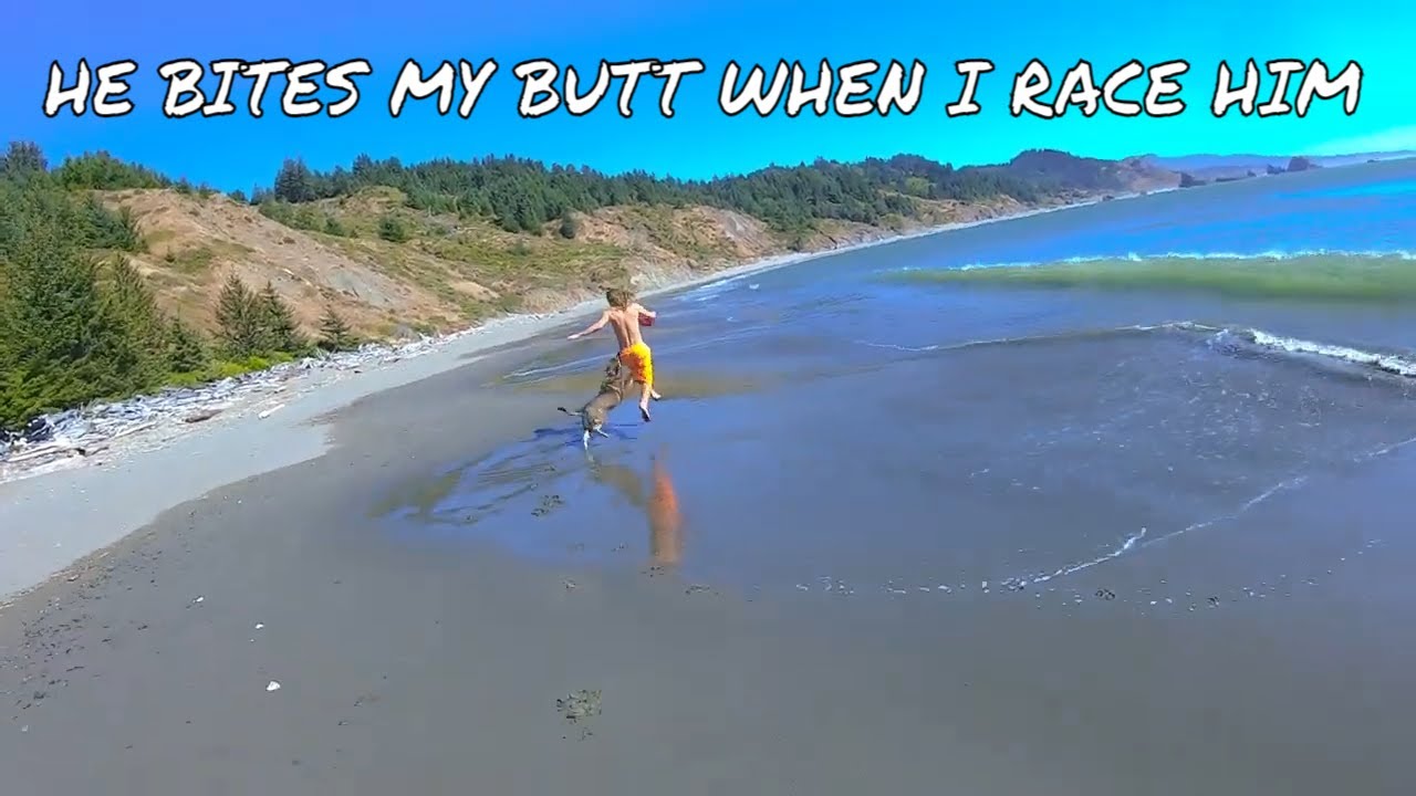 Cape Sebastian trail, beach to ourselves and Natural bridges