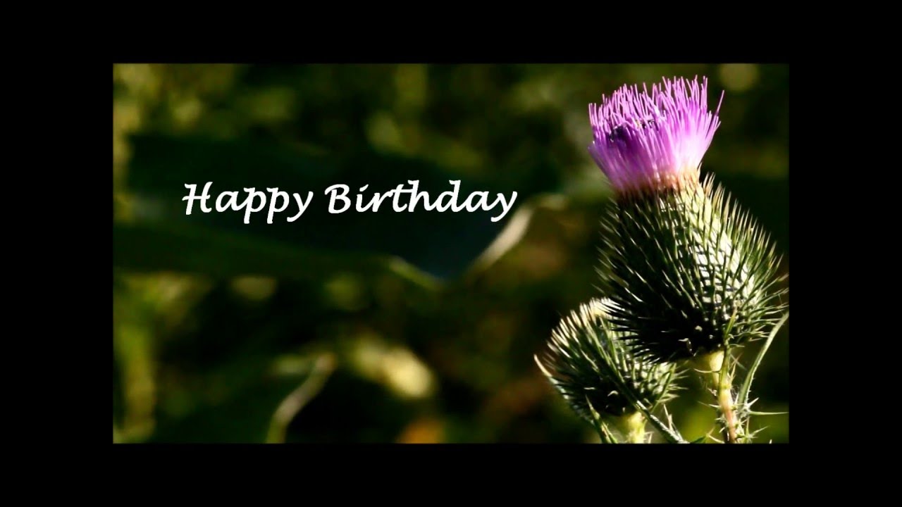 happy birthday song lyrics happy birthday song lyrics