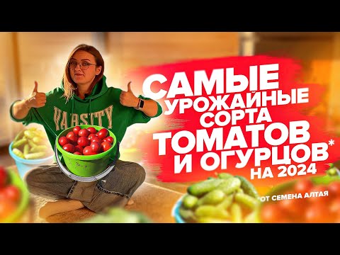 САМЫЕ УРОЖАЙНЫЕ ОГУРЦЫ И ТОМАТЫ от Семена Алтая