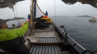 Crew Learning How To Commercial Fish - Complete Set in Alaska 2023 - Port Side View by Brandon Dell 7,101 views 4 months ago 1 hour, 3 minutes