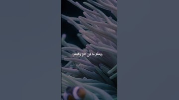 سورة الانعام آية ٥٩ بصوت عبدالعزيز الزهراني