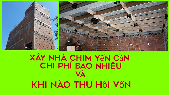 Xây nhà nuôi yến bao nhiêu tiền