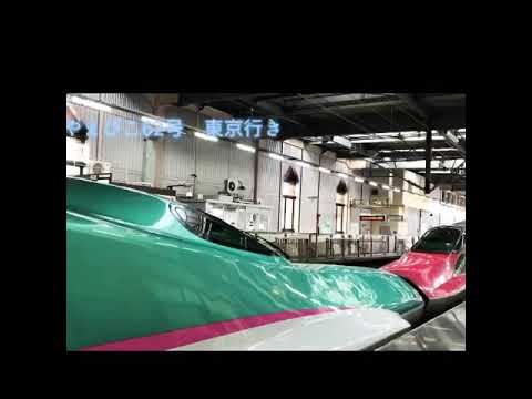 やまびこ62号.63号 水沢江刺駅　君は天然色